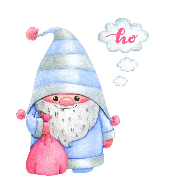 $60 Gnome Holiday